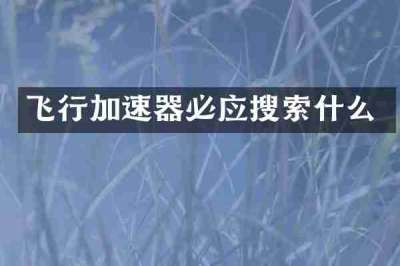 飞行加速器必应搜索什么