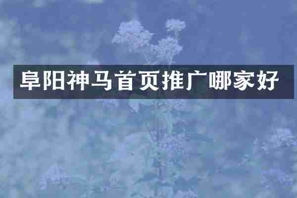 阜阳神马首页推广哪家好