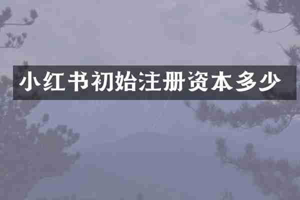小红书初始注册资本多少