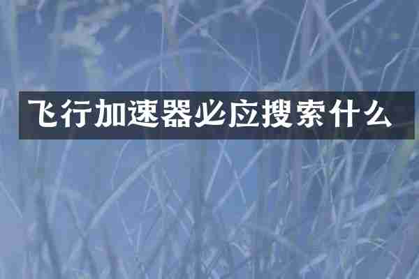 飞行加速器必应搜索什么