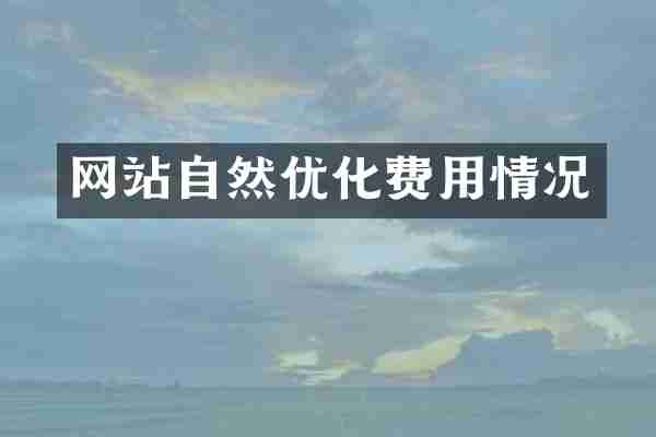 网站自然优化费用情况