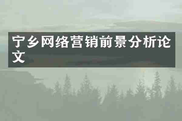 宁乡网络营销前景分析论文