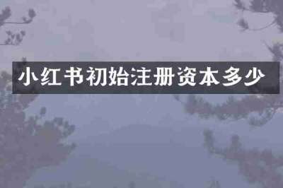 小红书初始注册资本多少
