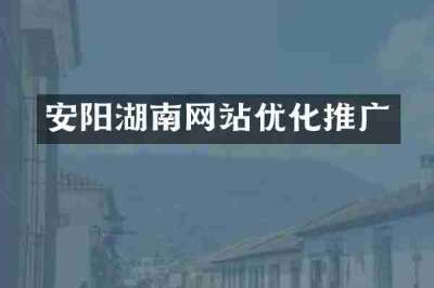 安阳湖南网站优化推广