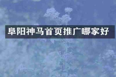 阜阳神马首页推广哪家好