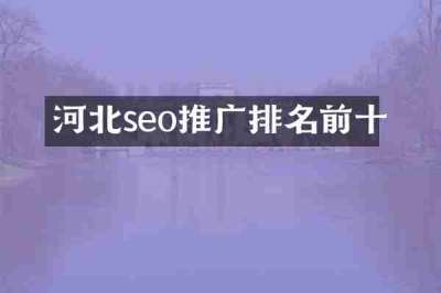 河北seo推广排名前十