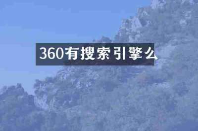 360有搜索引擎么
