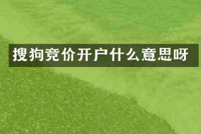 搜狗竞价开户什么意思呀