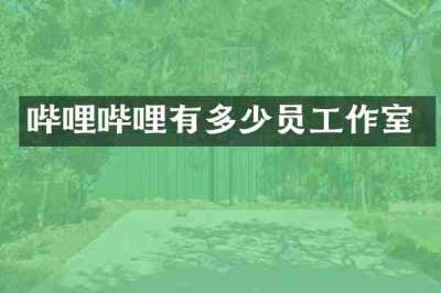 哔哩哔哩有多少员工作室