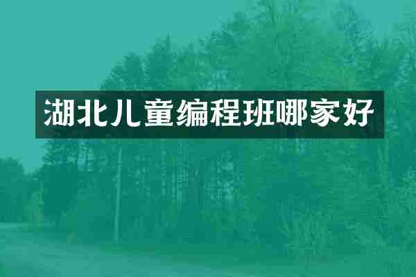 湖北儿童编程班哪家好