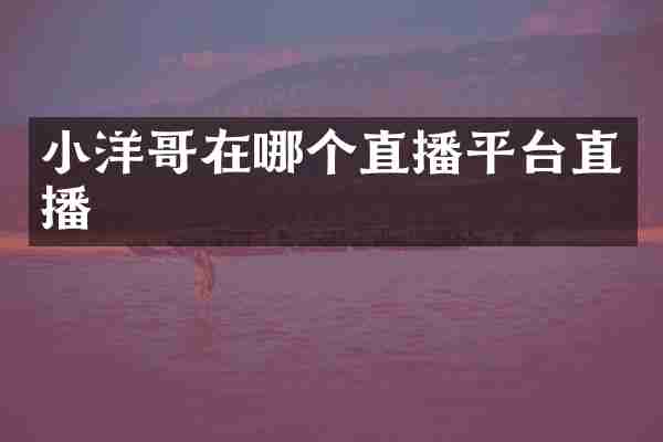 小洋哥在哪个直播平台直播