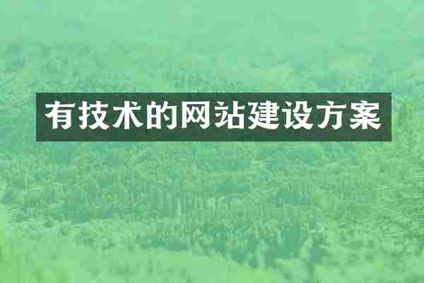 有技术的网站建设方案