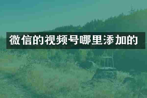 微信的视频号哪里添加的