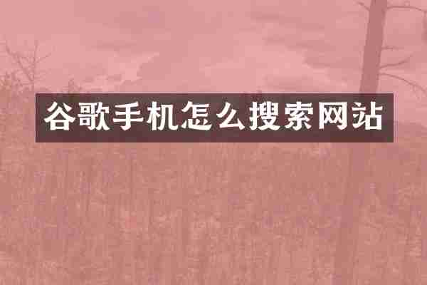 谷歌手机怎么搜索网站