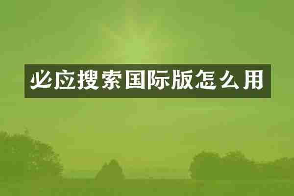 必应搜索国际版怎么用