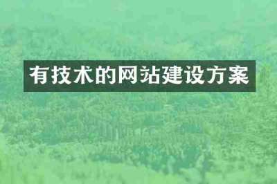 有技术的网站建设方案