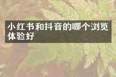 小红书和抖音的哪个浏览体验好