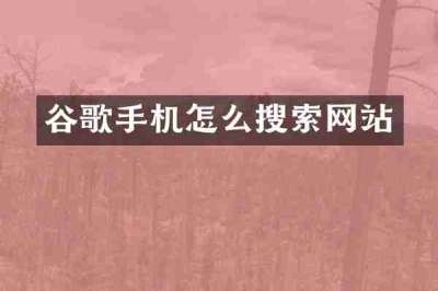 谷歌手机怎么搜索网站