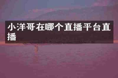 小洋哥在哪个直播平台直播