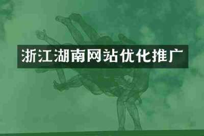 浙江湖南网站优化推广