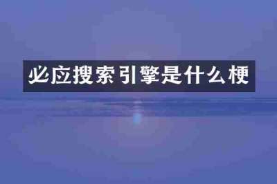 必应搜索引擎是什么梗