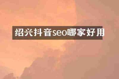 绍兴抖音seo哪家好用