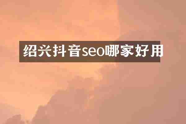 绍兴抖音seo哪家好用
