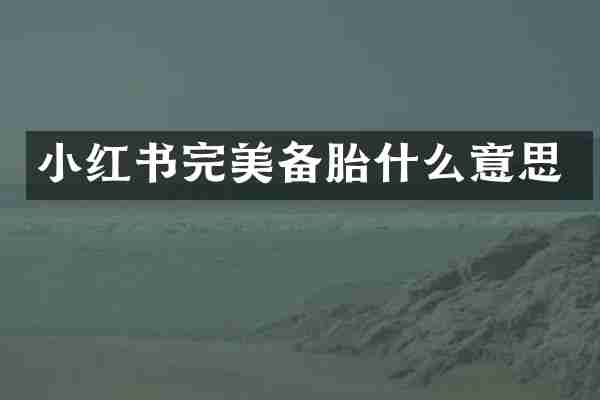 小红书完美备胎什么意思