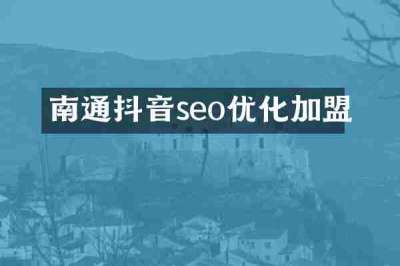 南通抖音seo优化加盟