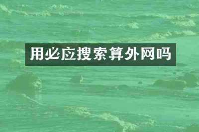 用必应搜索算外网吗