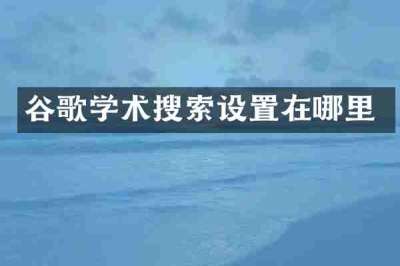 谷歌学术搜索设置在哪里