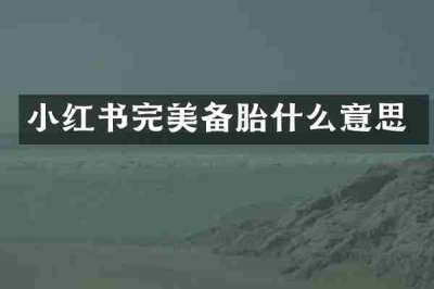 小红书完美备胎什么意思