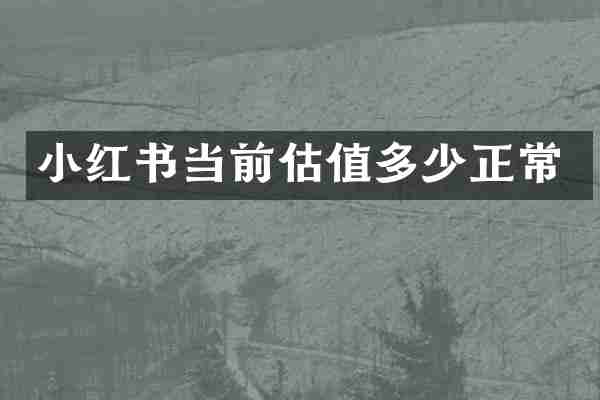 小红书当前估值多少正常