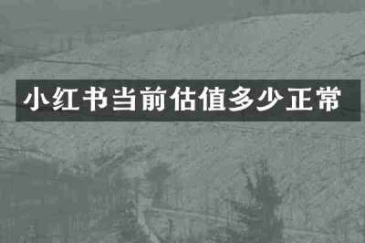 小红书当前估值多少正常