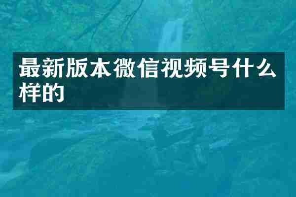 最新版本微信视频号什么样的