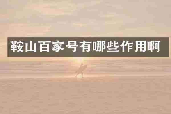 鞍山百家号有哪些作用啊