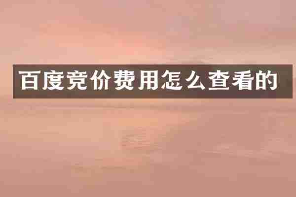 百度竞价费用怎么查看的