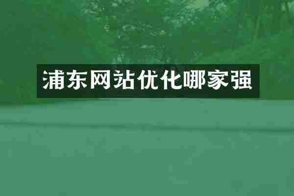 浦东网站优化哪家强