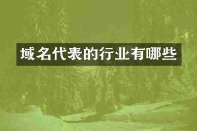 域名代表的行业有哪些