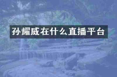 孙耀威在什么直播平台