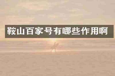 鞍山百家号有哪些作用啊