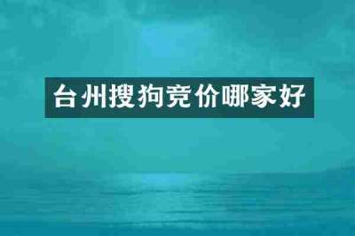 台州搜狗竞价哪家好