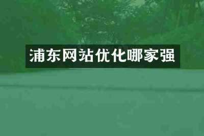 浦东网站优化哪家强