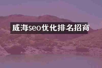 威海seo优化排名招商