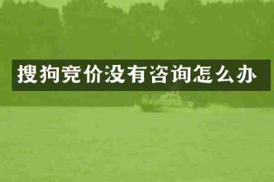 搜狗竞价没有咨询怎么办
