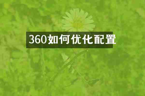 360如何优化配置