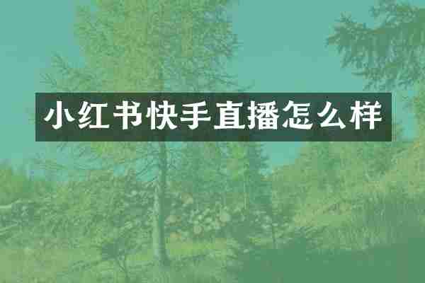 小红书快手直播怎么样