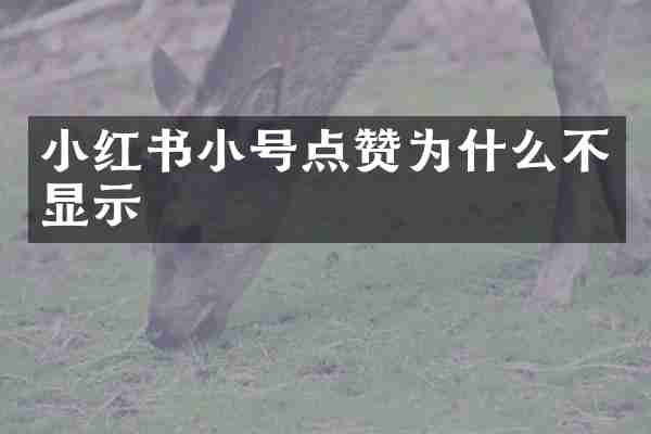 小红书小号点赞为什么不显示