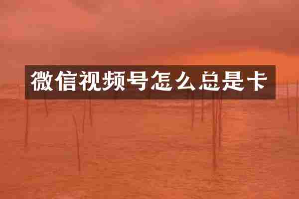 微信视频号怎么总是卡
