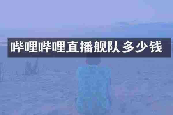 哔哩哔哩直播舰队多少钱